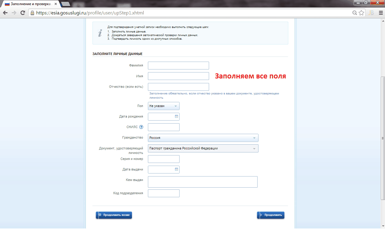 Госуслуги заполнение. Заполнение данных на госуслугах. Форма регистрации на госуслугах. Образец регистрации на госуслугах заполнения.